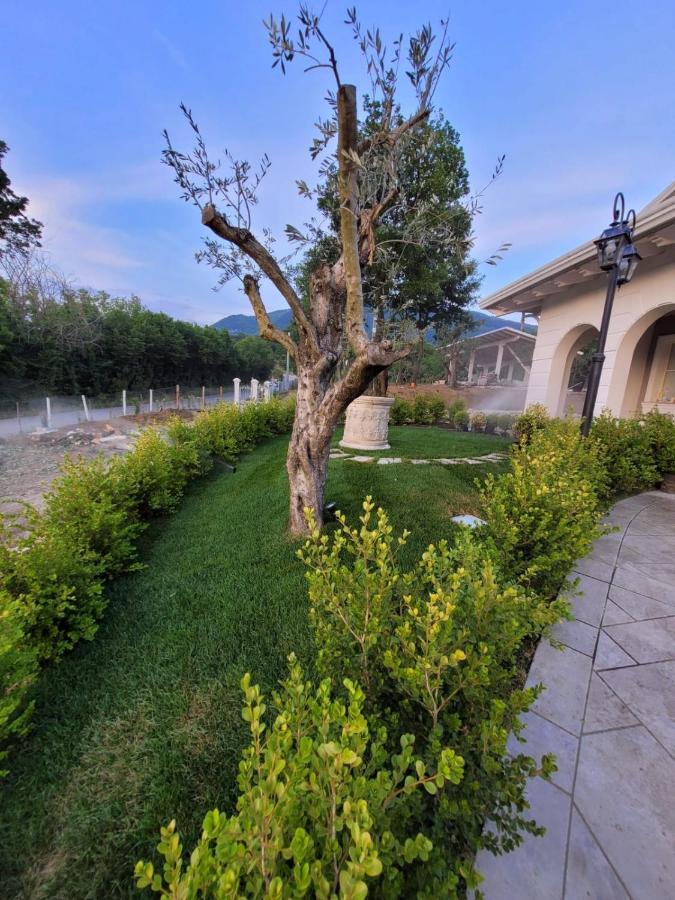Tenuta Santo Stefano Azienda Agrituristica Santo Stefano del Sole Ngoại thất bức ảnh